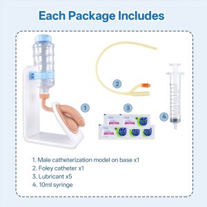 urinary-catheter-training simulator