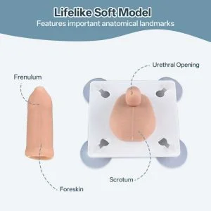 1e6b93b1e735b125126eece3dfb45bbd Circumcision-training-model