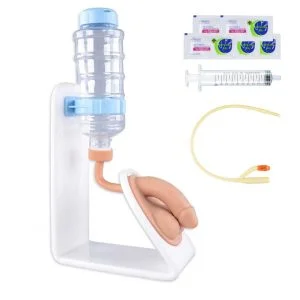 male-catheterization-model