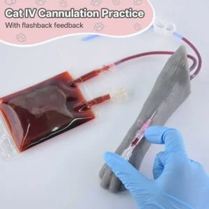 cat-iv-practice-kit
