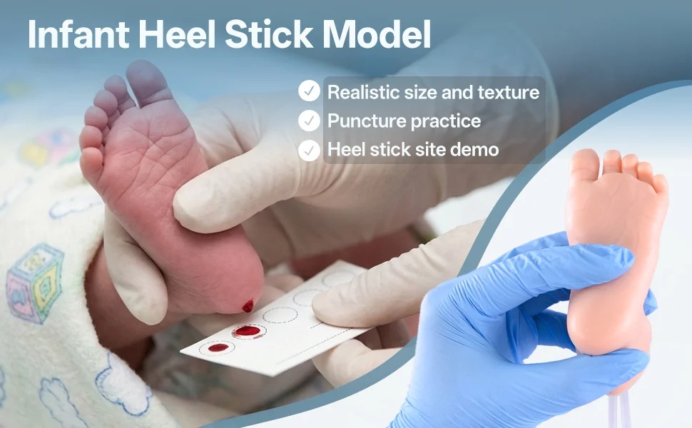 infant heel stick simulator
