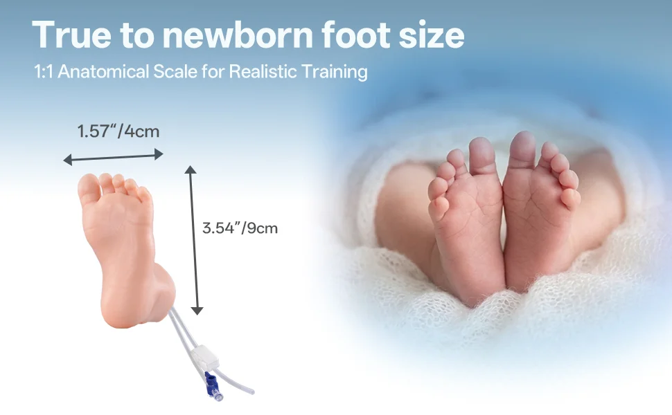 infant heel stick simulator
