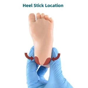 heel stick location
