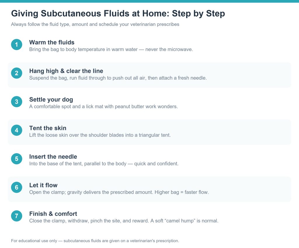 Subcutaneous Fluids for Dogs: At-Home Care Guide
