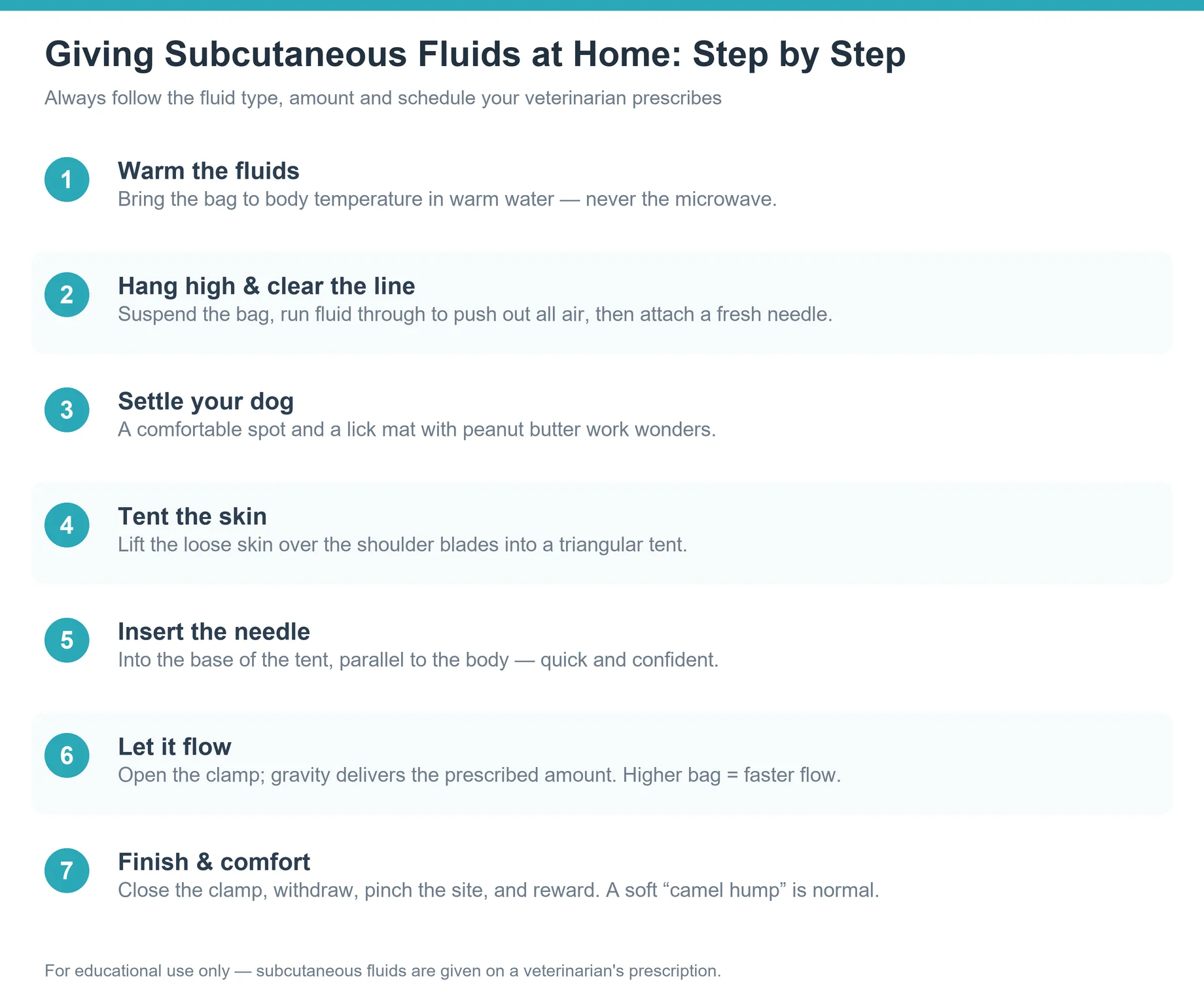 Step-by-step guide to giving subcutaneous fluids to a dog at home