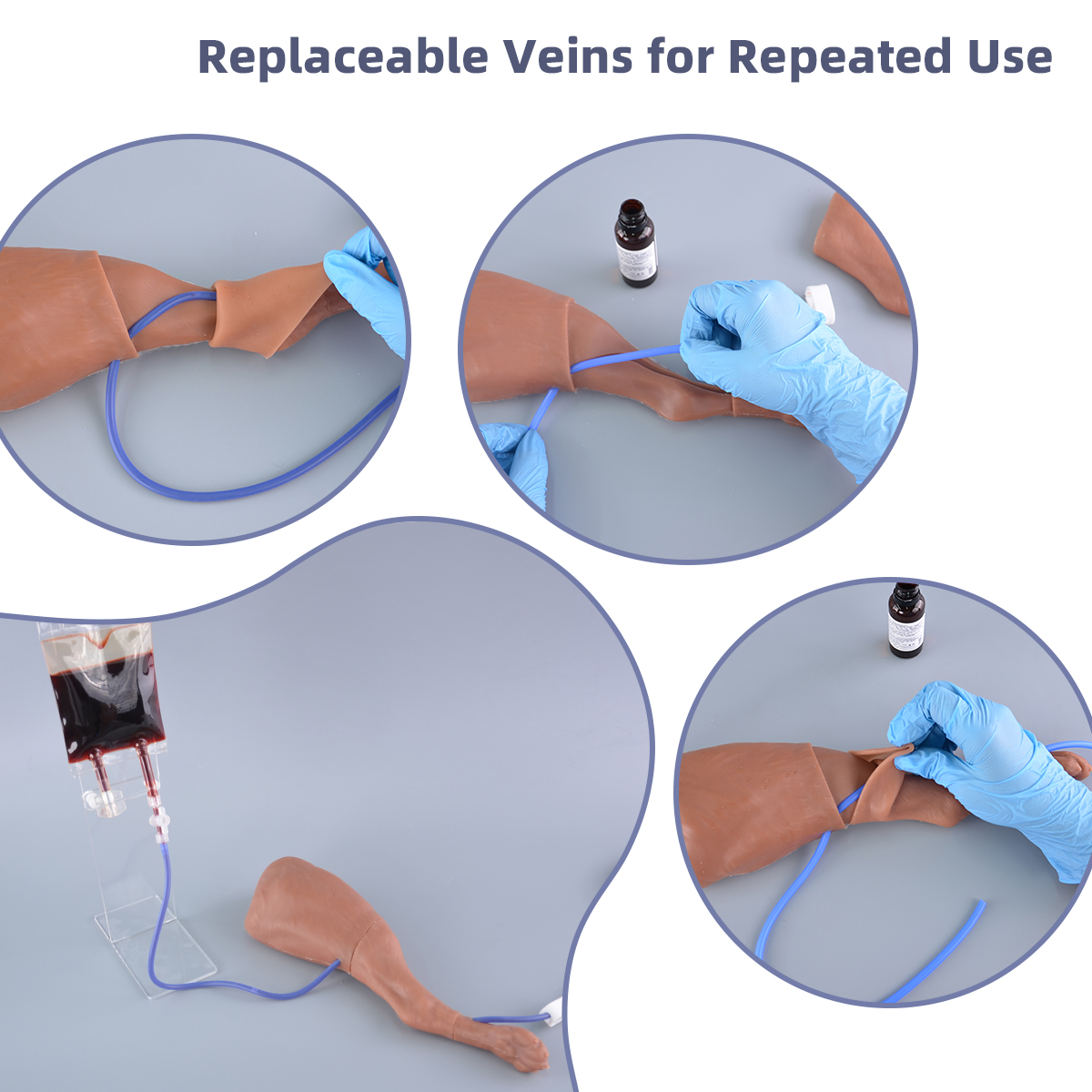 canine saphenous vein puncture model