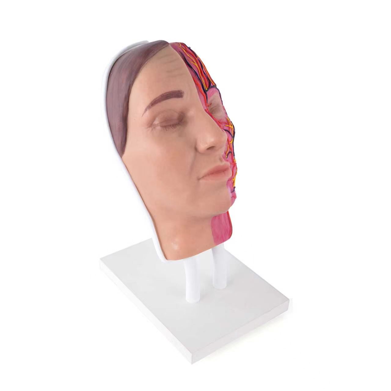 aesthetic-injection-manikin