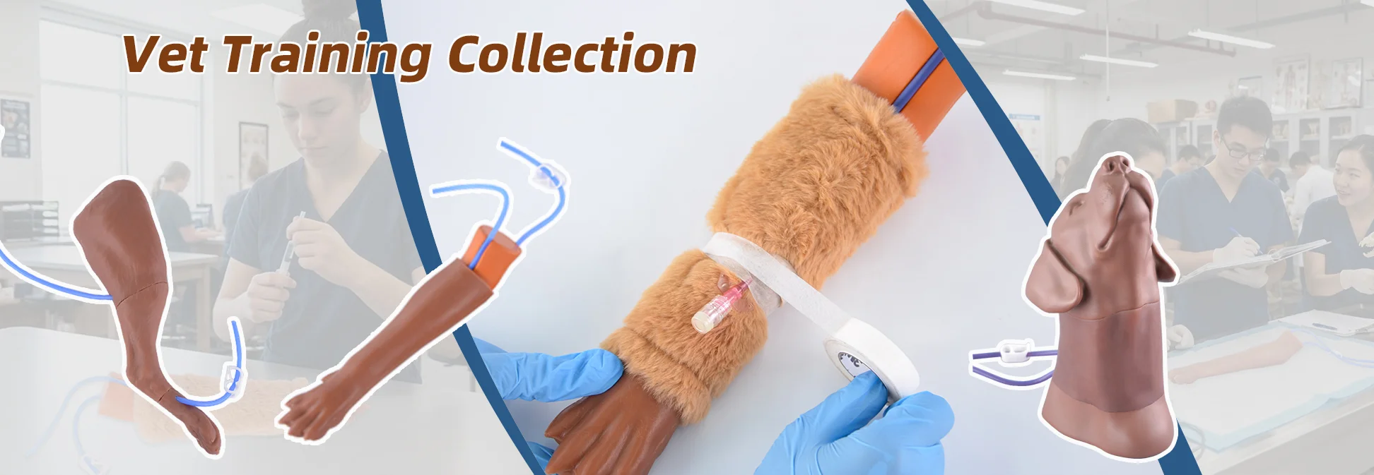 Vet practice kit