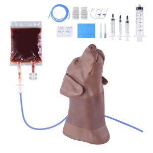 Canine Jugular Venipuncture & Jugular Phlebotomy Practice Model