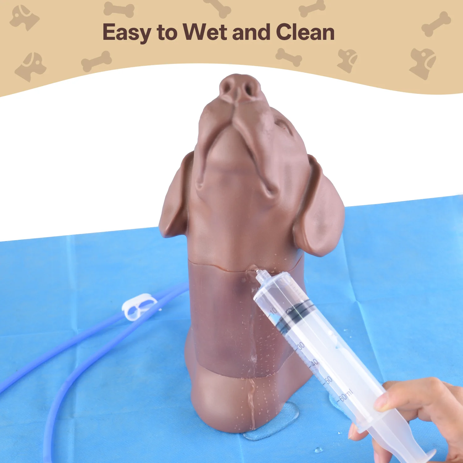 Canine Jugular Venipuncture & Jugular Phlebotomy Practice Model - Image 6
