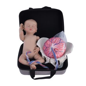 childbirth education set